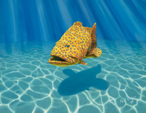 Grouper painting by Paul Elder