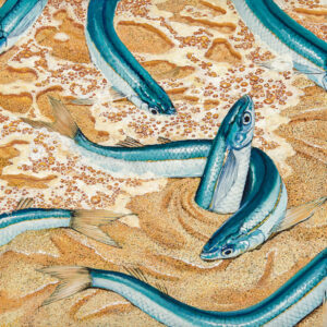 Grunion painting by Paul Elder