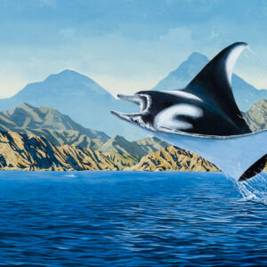 Manta painting by Paul Elder