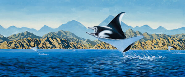 Manta painting by Paul Elder