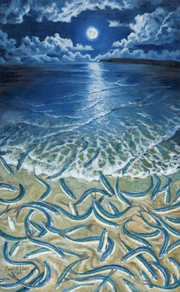 Moonlight Grunion painting by Paul Elder