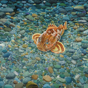 Sculpin painting by Paul Elder