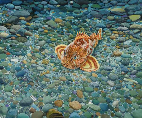 Sculpin painting by Paul Elder